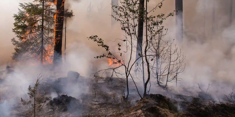 Territoires et Prévention